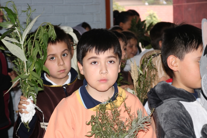 Celebración de Ramos